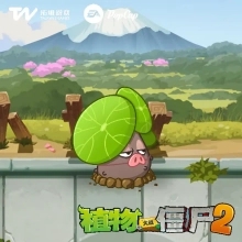 植物介绍5