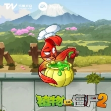 植物介绍8