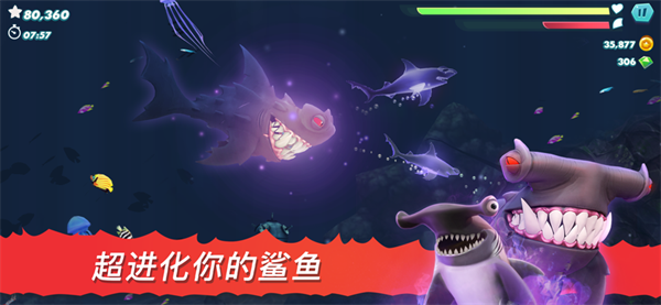 饥饿鲨进化电脑版 第4张图片