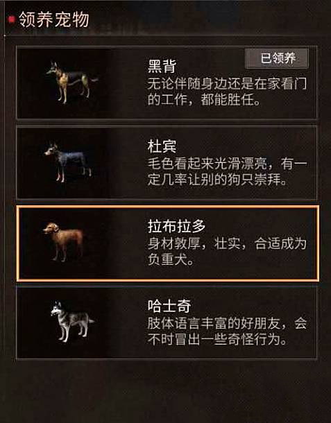 新手攻略截图1