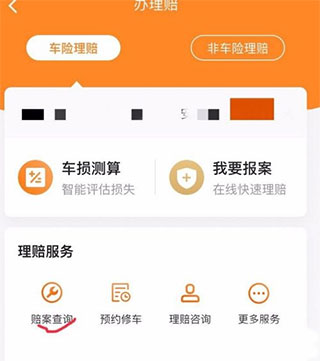 如何使用平安好车主电脑版app查询信息截图4