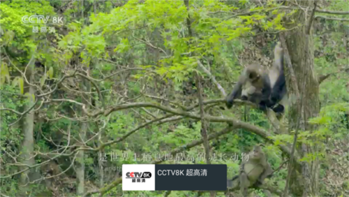 app安装到电视上教程截图2