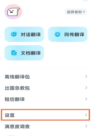怎么开启屏幕翻译截图2