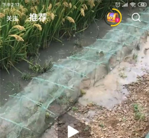 签到领会员1