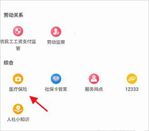 查询医保个人权益信息教程截图4