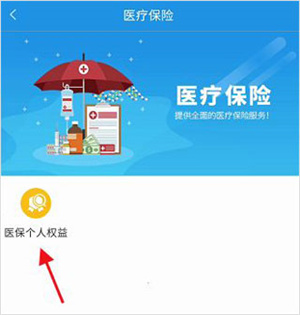 查询医保个人权益信息教程截图5