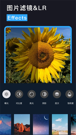 Lightroom电脑版 第1张图片