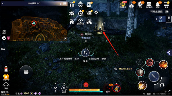 宠物鹰4
