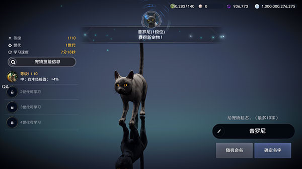 黑色瘦猫1
