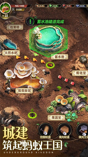 小小蚁国电脑版 第1张图片