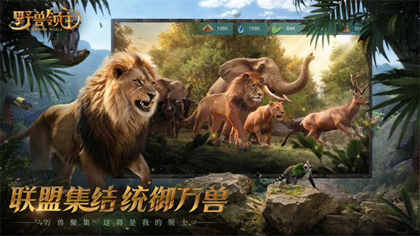 野兽领主新世界电脑版 第3张图片