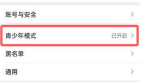青少年模式1