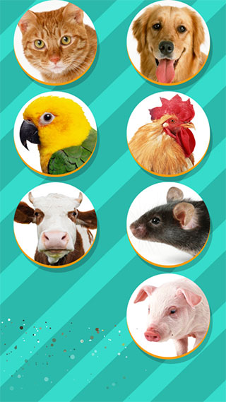 Pet Translator宠物对话翻译器电脑版软件介绍