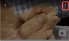 保存完整1