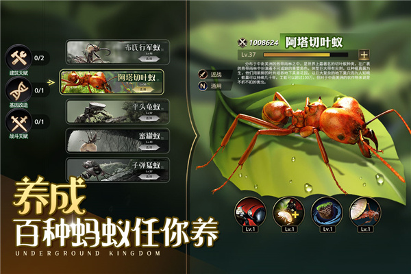 小小蚁国魅族版 第2张图片