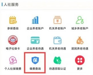 如何查询职业年金2