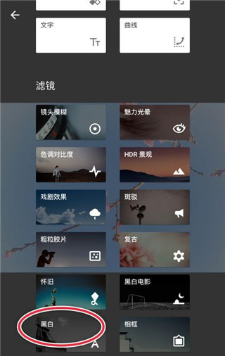 进行修图4