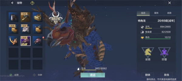 新手宠物推荐3