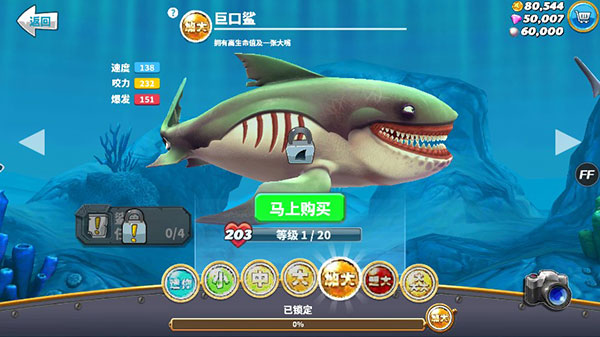 鲨鱼介绍截图5