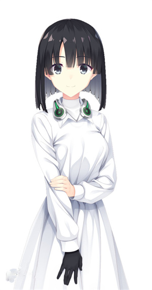 桥姬雏菊