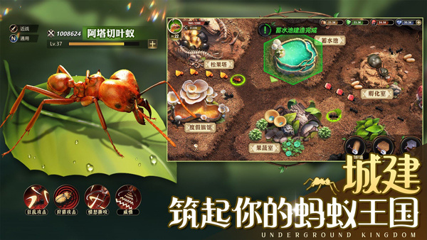 小小蚁国0.1折版游戏特色截图