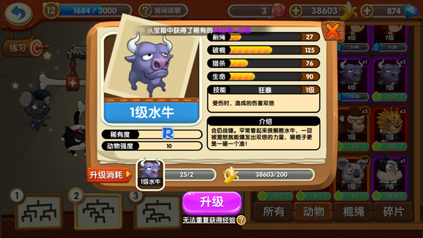 动物介绍-R级5