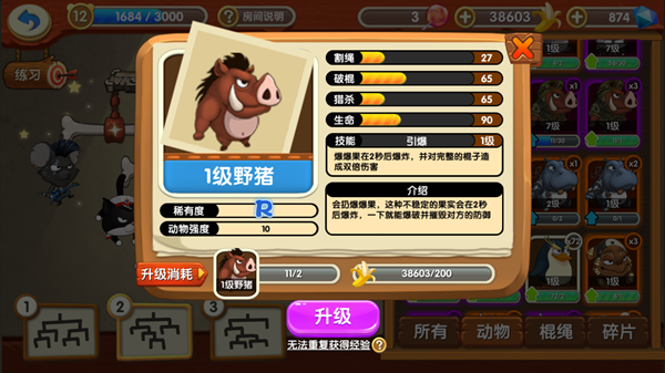 动物介绍-R级14