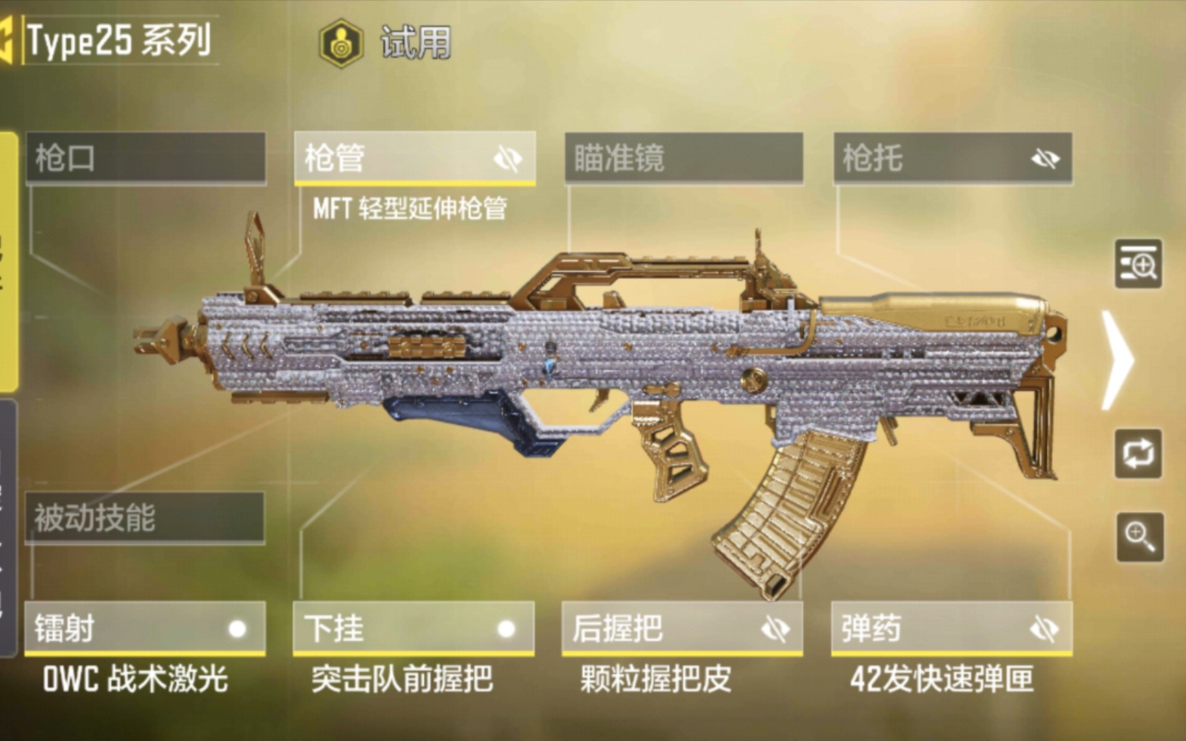 Type25