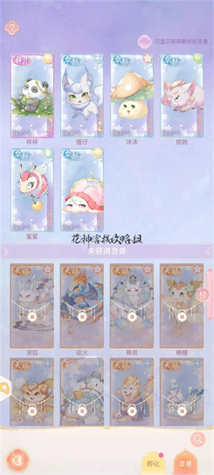 进阶攻略截图6