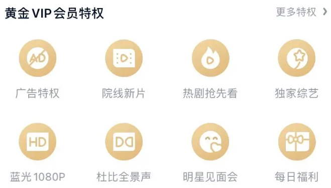 和正常版会员互通