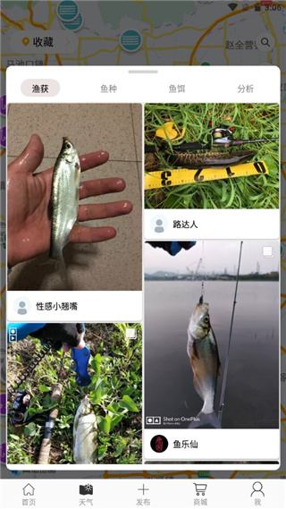渔获电脑版使用攻略截图4