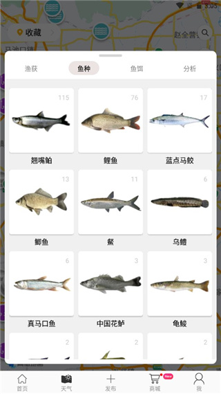 渔获电脑版使用攻略截图3