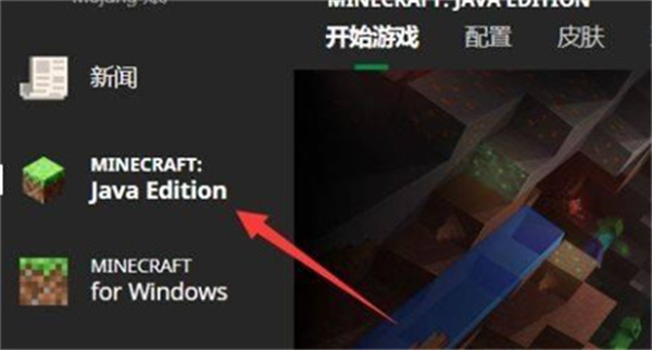 皮肤导入游戏教程截图1