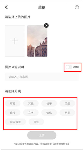 言橘app怎么投稿截图3