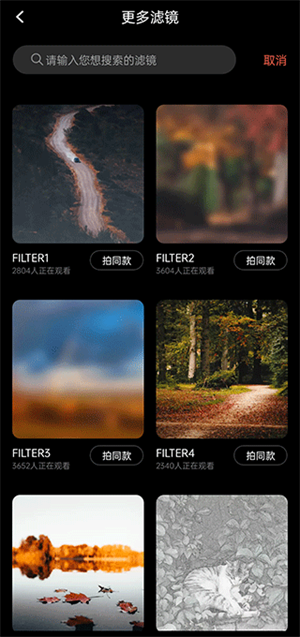 怎么调滤镜截图2