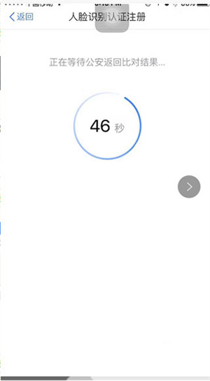怎么申报截图5