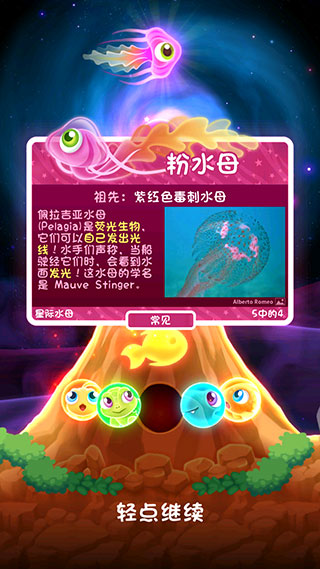 罕见鱼攻略截图5