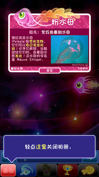 罕见鱼攻略截图7