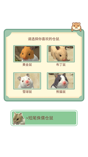 游戏玩法截图1