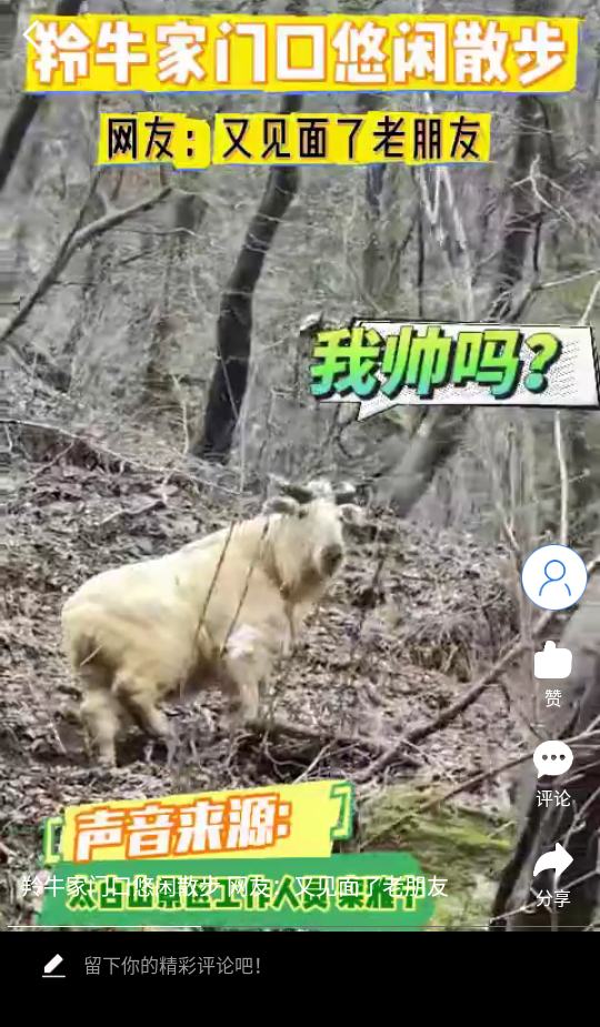 使用教程截图2