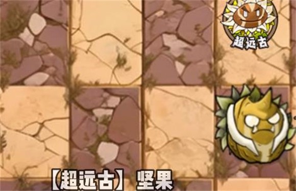 超远古坚果截图