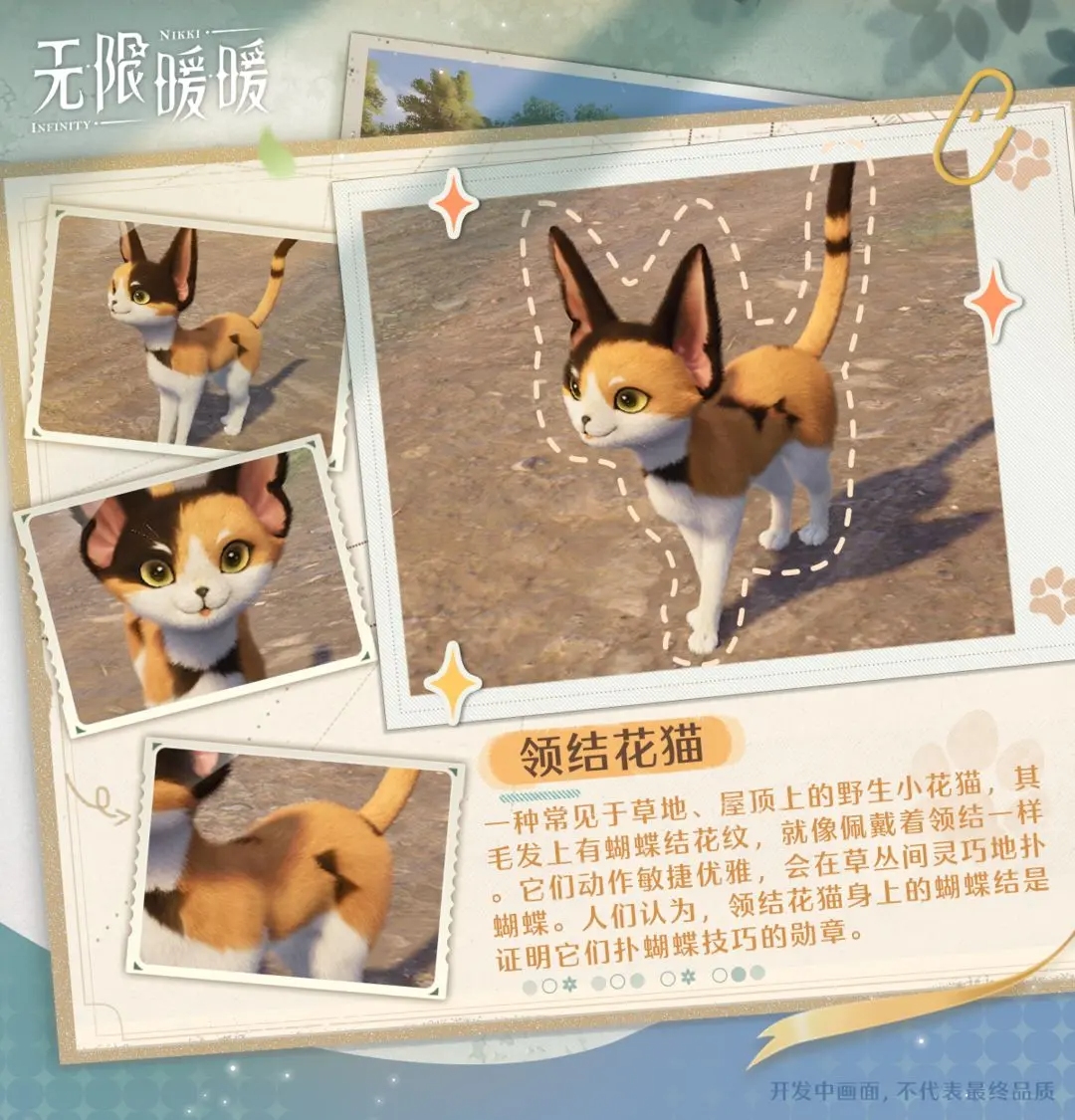 动物介绍截图5