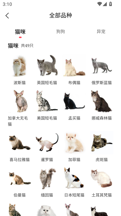 使用教程截图1