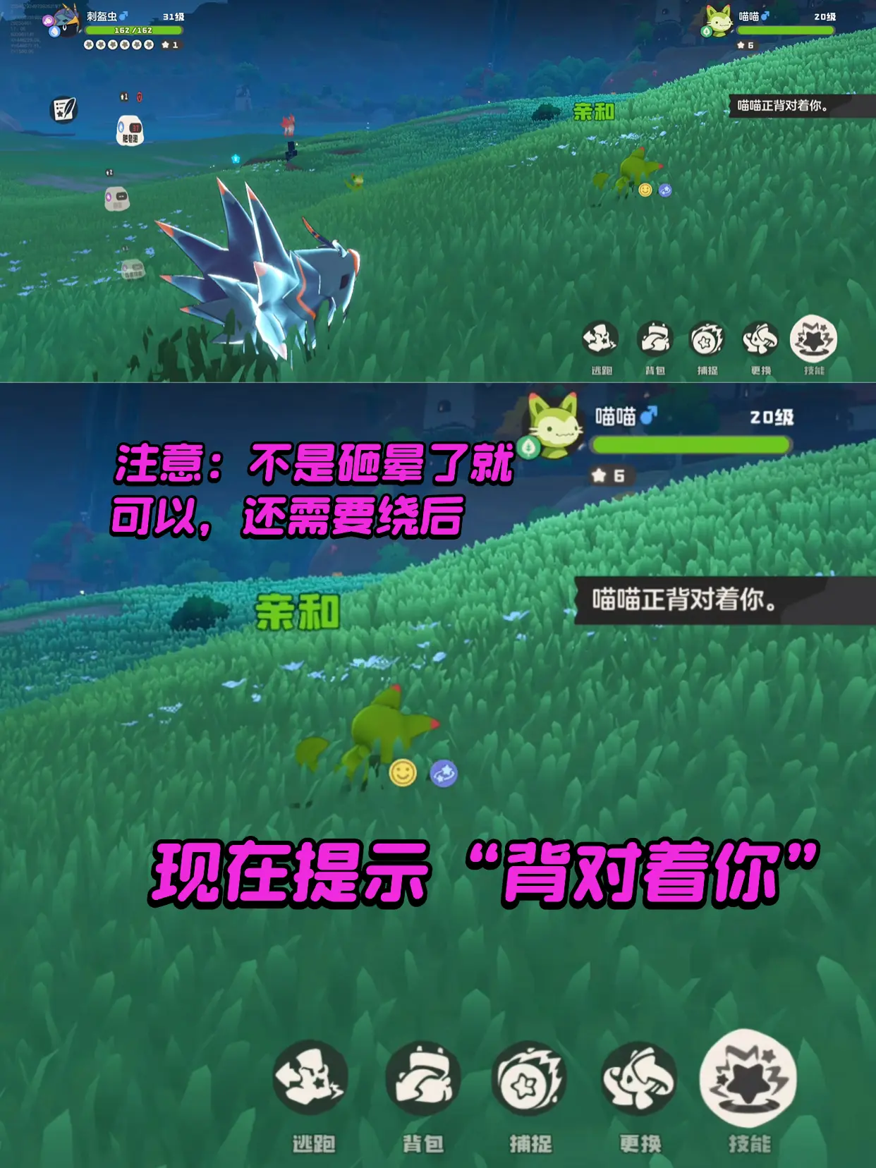 提高捕捉率截图