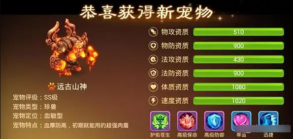 宠物推荐1