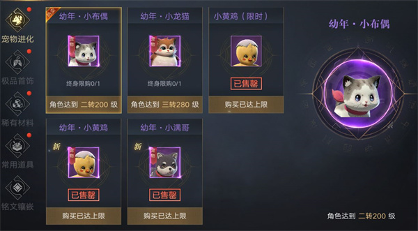 宠物玩法攻略1