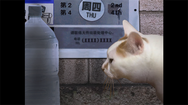 翌日猫之怪奇谭怎么玩截图2