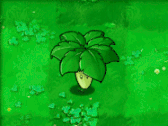 植物强度排名10