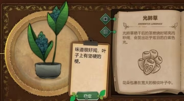 光肺草