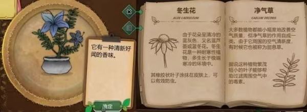 净气草